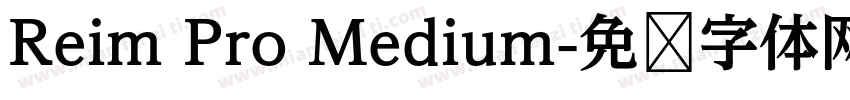 Reim Pro Medium字体转换